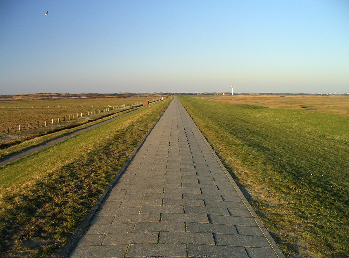 Westgrodendeich im Abendlicht