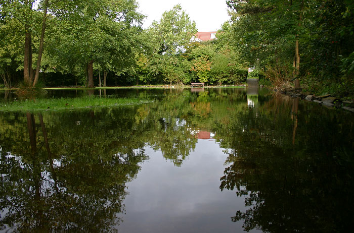 Wasser im Steingarten