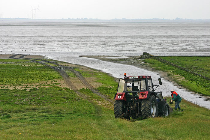 Traktor im Deichvorland