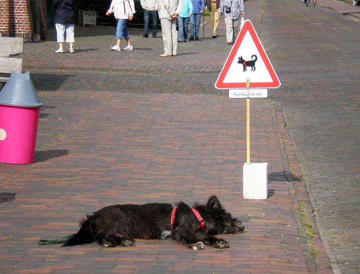 Achtung Hundwechsel