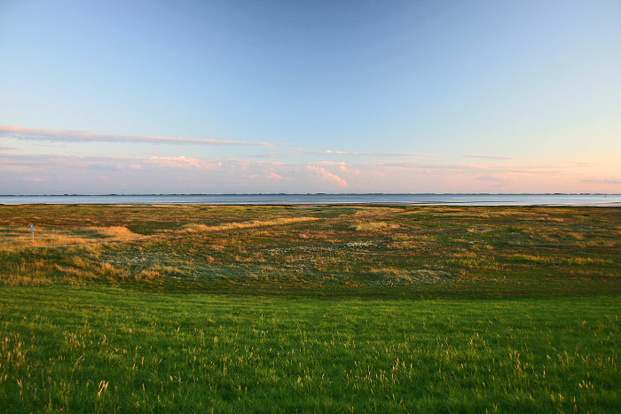 Deichvorland am Abend