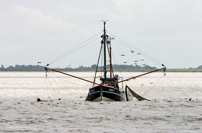 Fischkutter »Poseidon« (HAR 7)