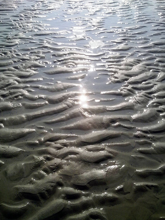 Sandrippel im Gegenlicht