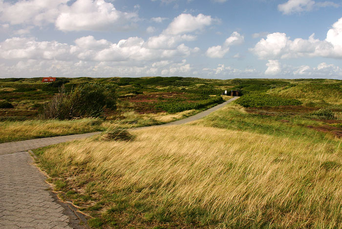 Dünenlandschaft vom Süddeich aus gesehen