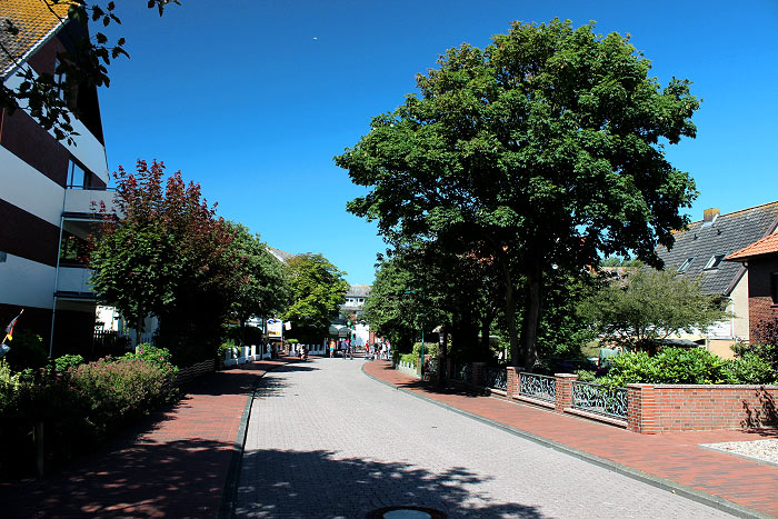 Zedeliusstraße am frühen Nachmittag