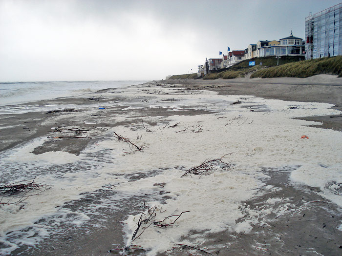 Strandgut und Schaum