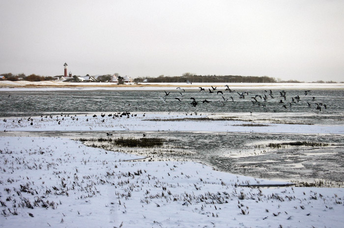 Salinebucht und Bootstief