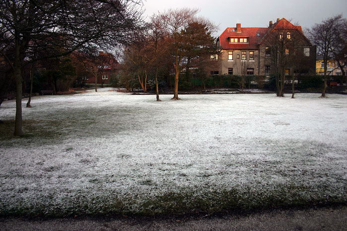 Steingarten im Winter