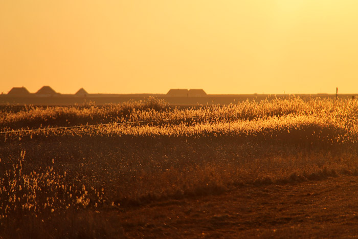 Abendstimmung am Süderheller