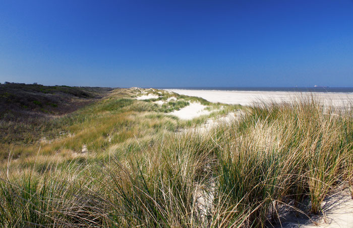 Weißdünen im Osten