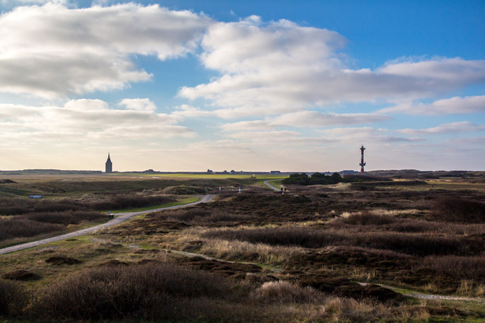 Blick auf die Heidedünenlandschaft