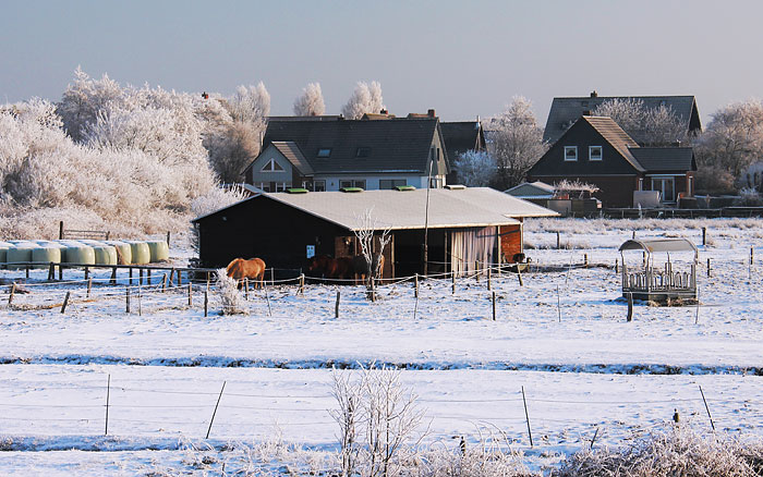 Inselhof Wangerooge im Dorfgroden