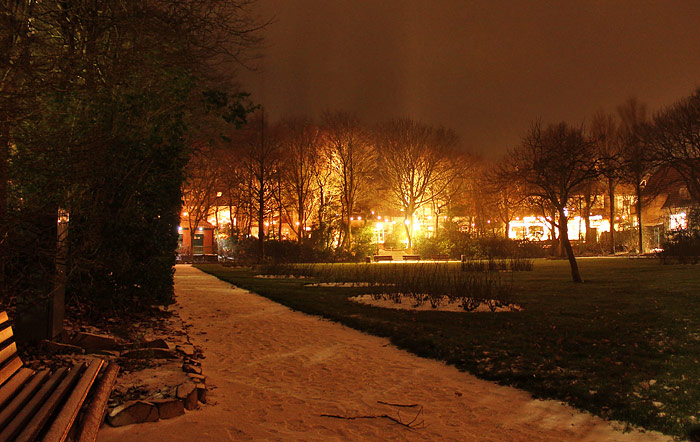 Rosengarten im Winter