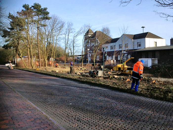 Rodungsarbeiten am Niobeplatz