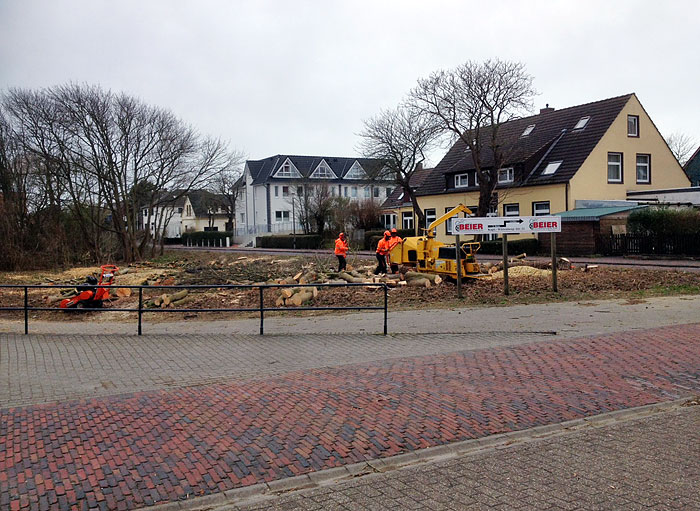 Niobeplatz nach den Rodungsarbeiten