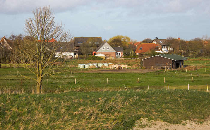 Inselhof im Dorfgroden