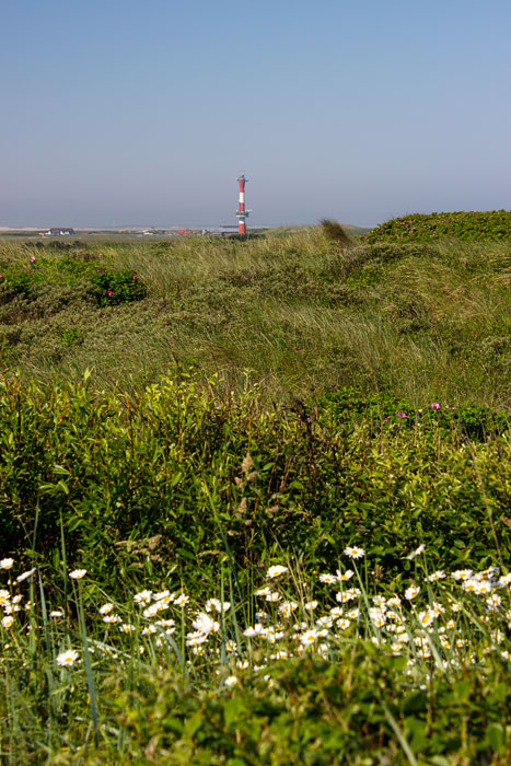 Blick aus den Norddünen nach Westen