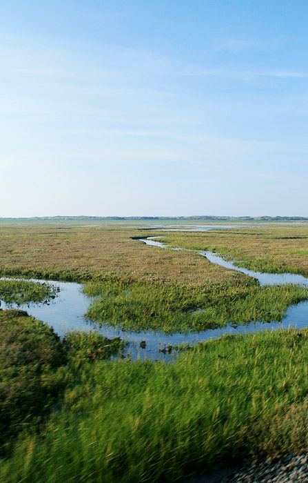 Lagune im Westgroden