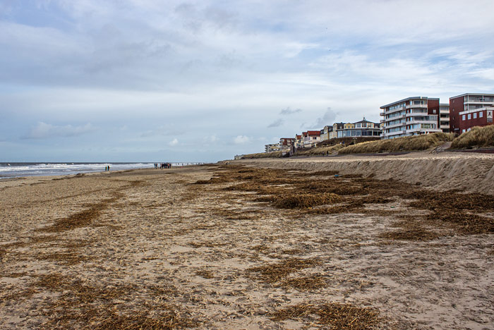 Teek am Hauptstrand