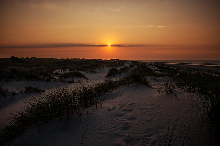 Abendstimmung in den Ostdünen