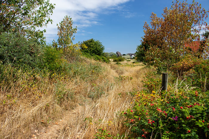 Siedlerstraßen-Dünen