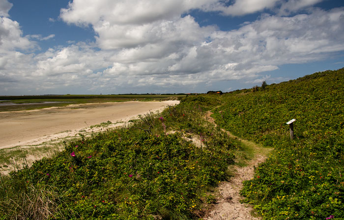 Weg durch die Ostdünen