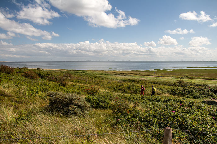 Wattenmeer aus den Ostdünen gesehen