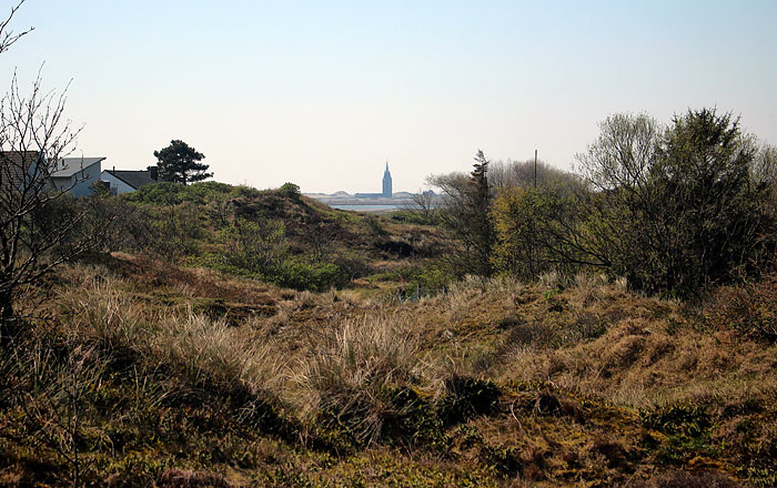 Osterdünen mit Blick nach Westen