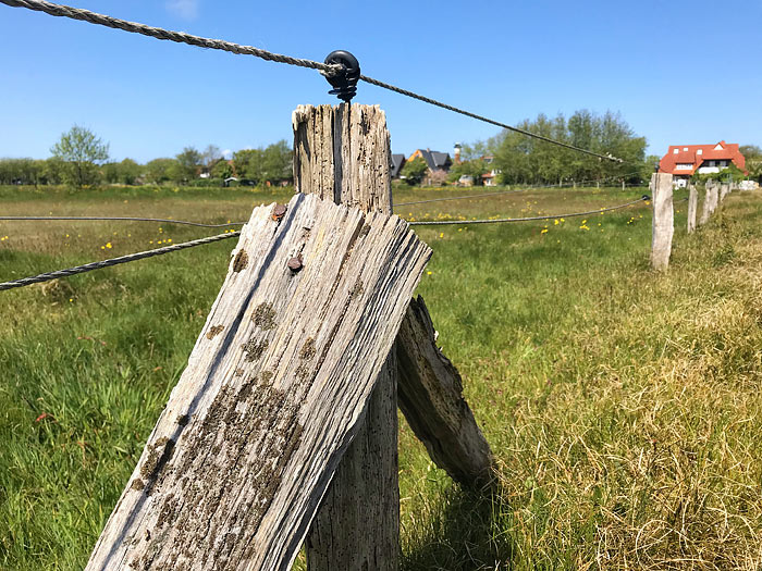 Elektrozaun im Dorfgroden