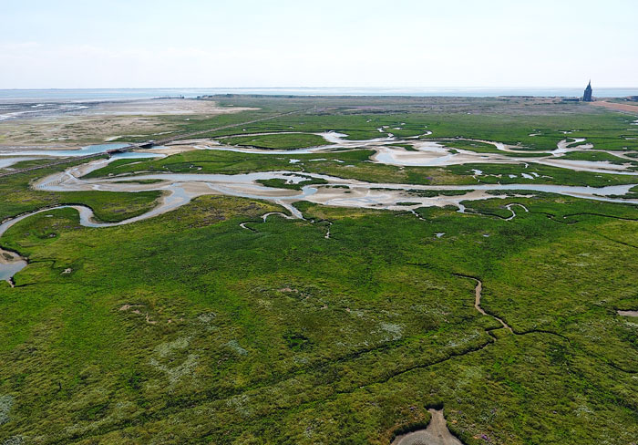 Lagune im Westaußengroden