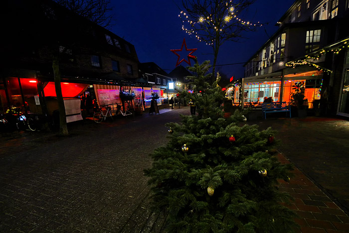 Weihnachtsbaum in der Zedeliusstraße