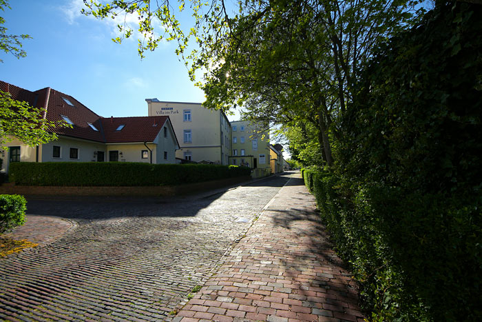 Friedrich-August-Straße im Mai