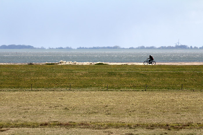 Radfahrer auf dem Westgrodendeich