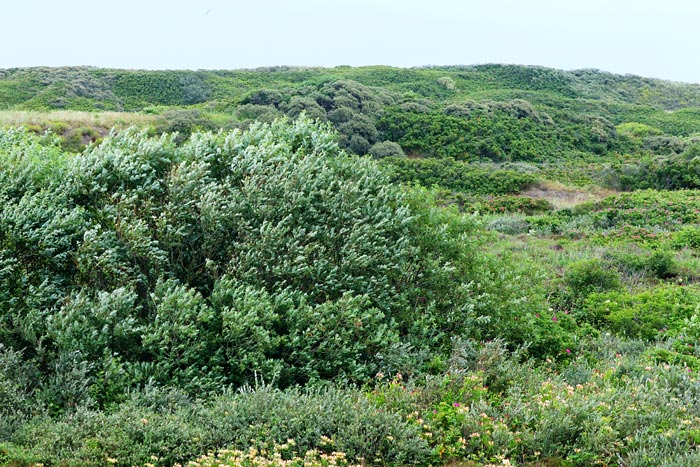 Landschaftsschutzgebiet nahe der Saline