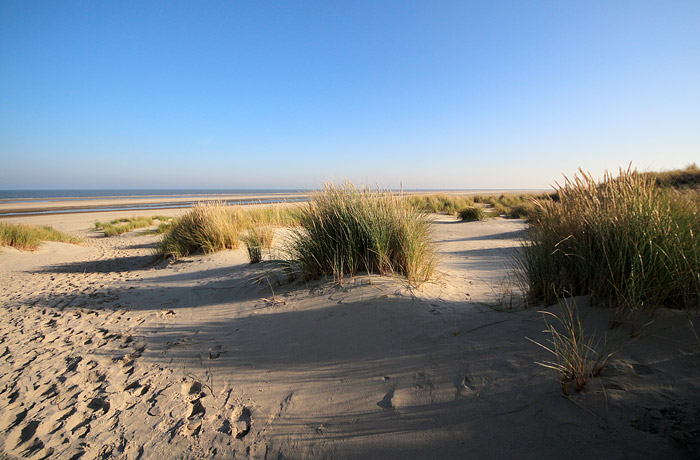 Vordünen an der Überwegung