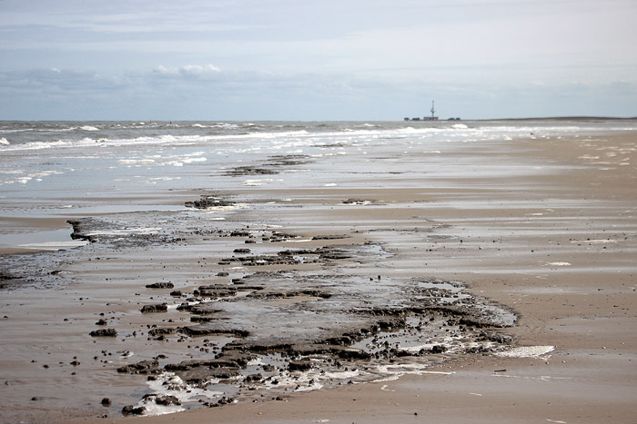 Schlickboden am Oststrand