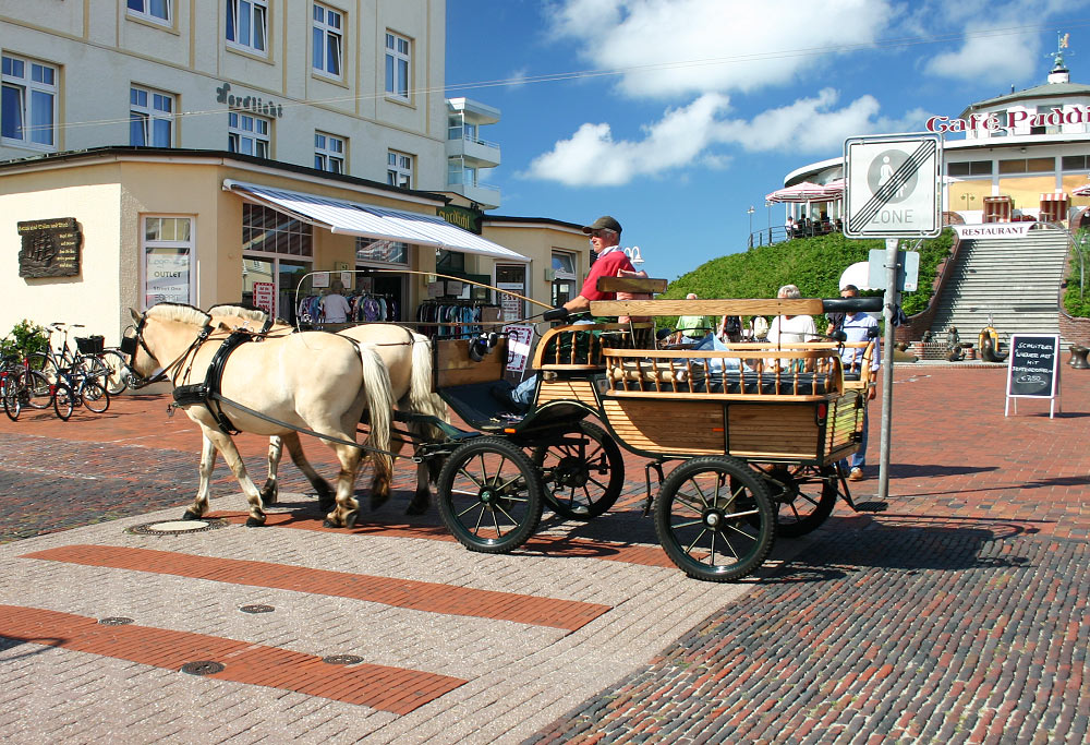 Pferdekutsche vom Inselhof · Bildergalerie · virtual wangerooge