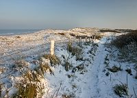 Schnee in den Dünen
