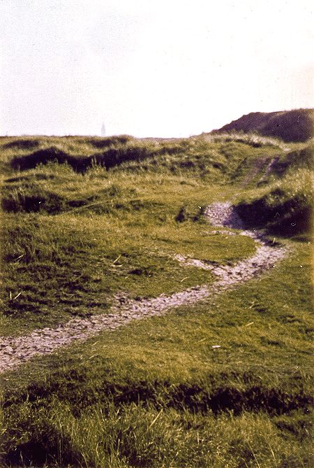 In den Dünen