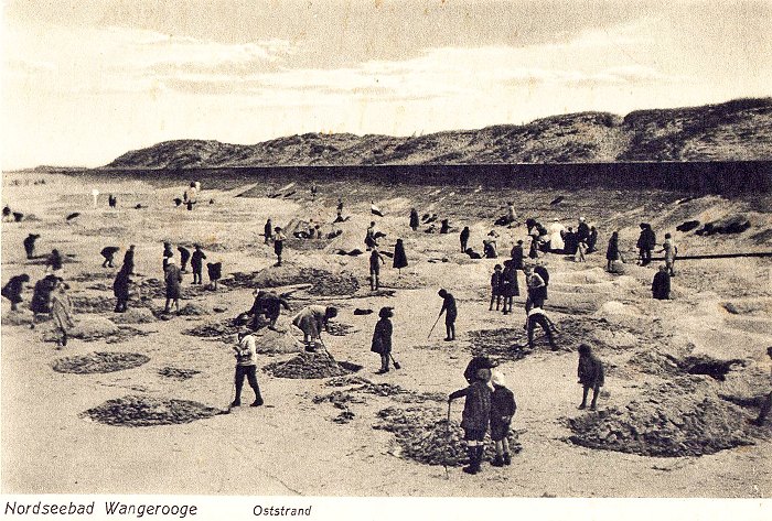 Am Oststrand