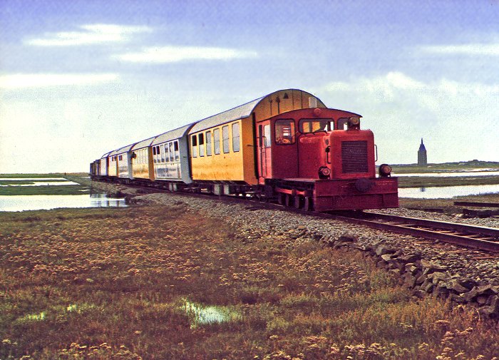 Inselbahn in den Salzwiesen