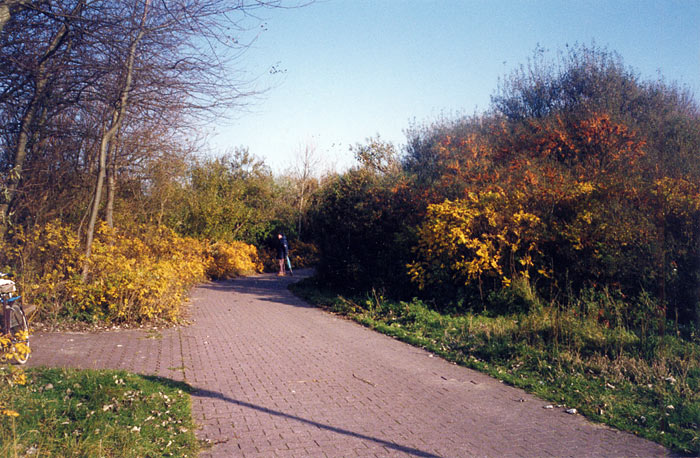 Herbstimpressionen