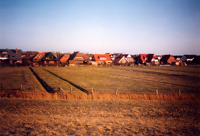 Weiden und Bebauung im Dorfgroden