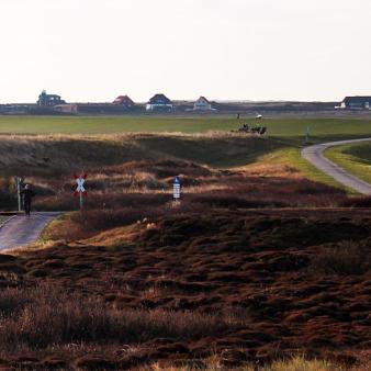 Blick auf den Westgrodendeich und das Westdorf. Foto &copy; Erik Kohl 2014