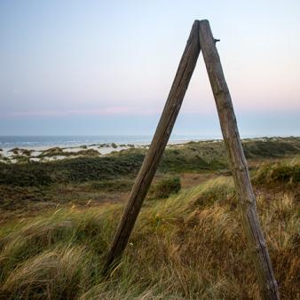 A-Mast in den Ostd&uuml;nen. Foto &copy; Erik Kohl 2018