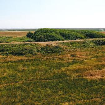 Westgrodendeich. Foto &copy; Erik Kohl 2018