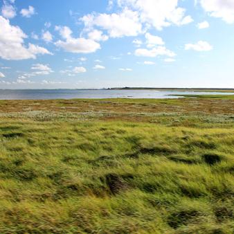 Salinebucht vom Zug aus gesehen. Foto &copy; Erik Kohl 2017