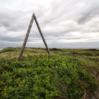 A-Mast in den Nordwestd&uuml;nen. Foto &copy; Jennifer Beckmann 2020