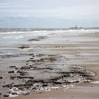 Schlickboden am Oststrand. Foto &copy; Erik Kohl 2021