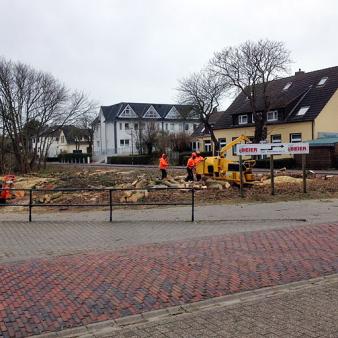 Niobeplatz nach den Rodungsarbeiten. Foto © Georg Kohl (2017) Niobeplatz nach den Rodungsarbeiten. Foto © Georg Kohl 2017